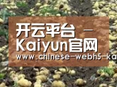 种植基地八(图1)
