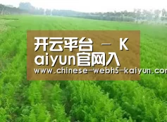 种植基地四