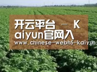 种植基地五