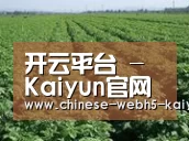 种植基地五(图1)