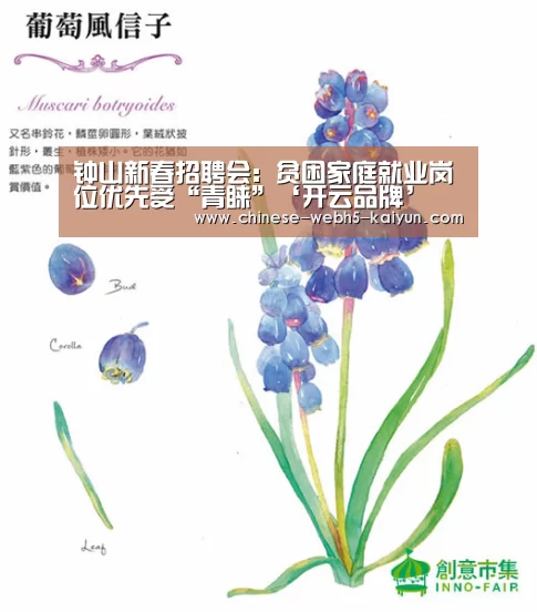 开云综合服务