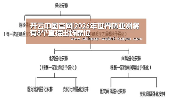 开云权威入口