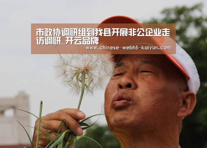 开云综合服务