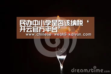 民办中小学是否该纳税‘开云官方平台’(图1) 开云品牌